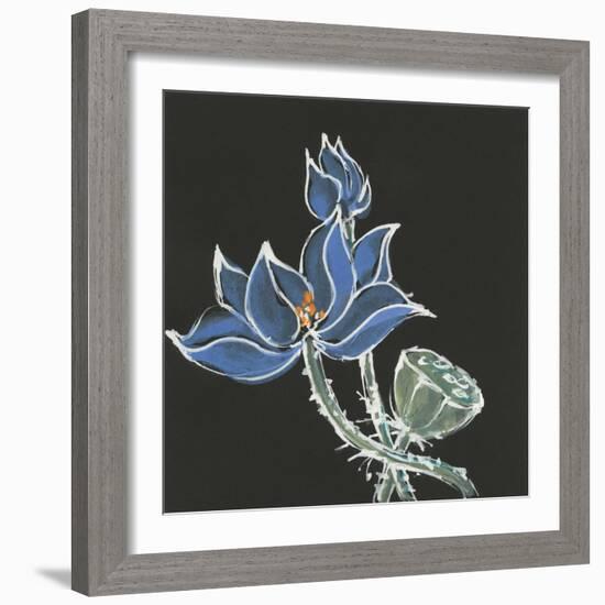 Lotus on Black VI-Chris Paschke-Framed Art Print