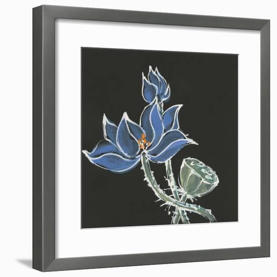 Lotus on Black VI-Chris Paschke-Framed Art Print