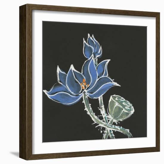 Lotus on Black VI-Chris Paschke-Framed Art Print