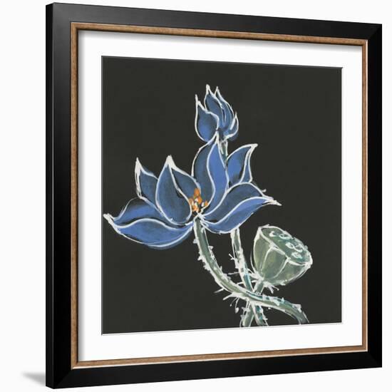 Lotus on Black VI-Chris Paschke-Framed Art Print