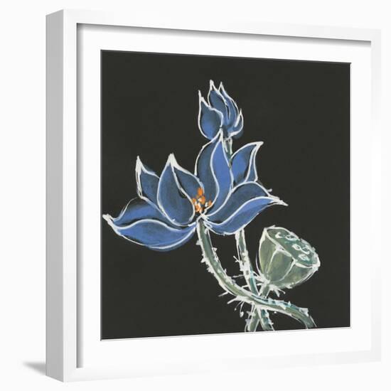 Lotus on Black VI-Chris Paschke-Framed Art Print