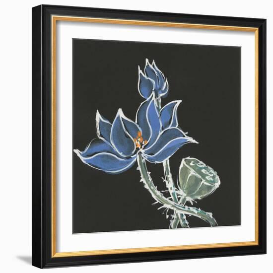 Lotus on Black VI-Chris Paschke-Framed Art Print