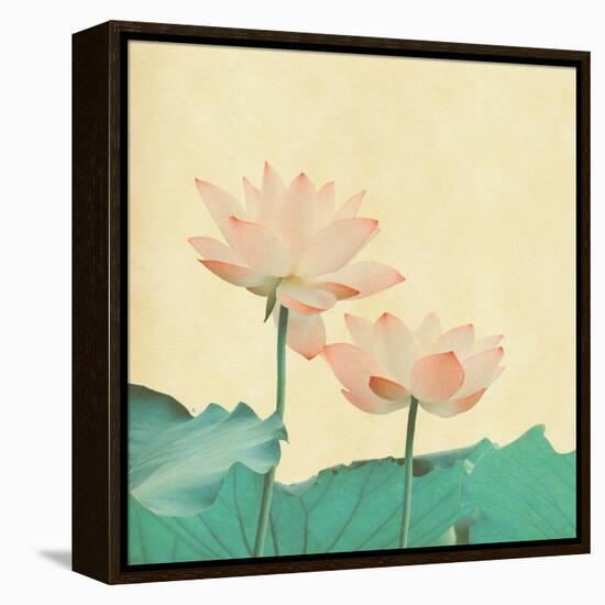 Lotus On The Old Grunge Paper Background-kenny001-Framed Stretched Canvas