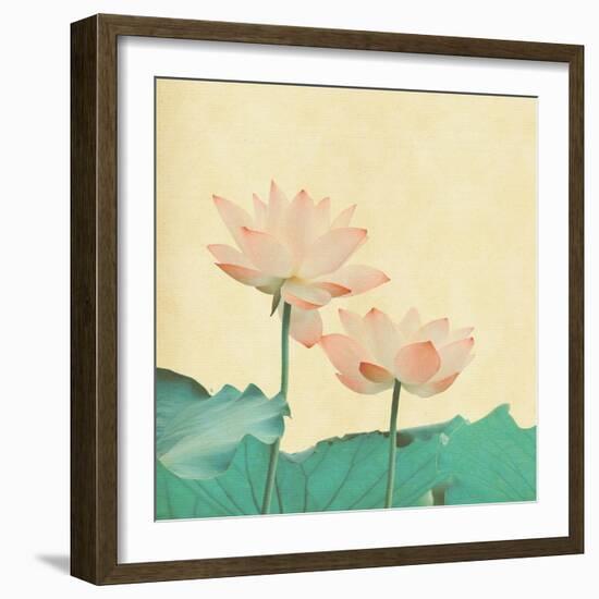 Lotus On The Old Grunge Paper Background-kenny001-Framed Premium Giclee Print