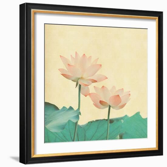 Lotus On The Old Grunge Paper Background-kenny001-Framed Premium Giclee Print