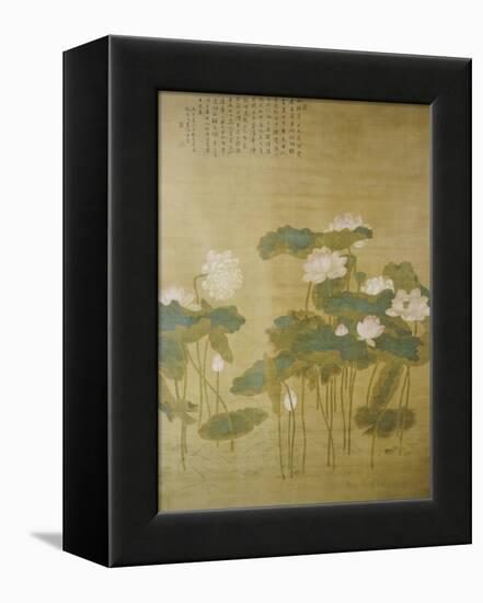 Lotus Pond, 1726-Hua Yan-Framed Premier Image Canvas