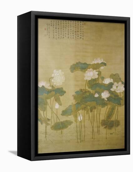 Lotus Pond, 1726-Hua Yan-Framed Premier Image Canvas