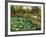 Lotus Pond, Shiba, Tokyo, c.1886-Theodore Wores-Framed Premium Giclee Print