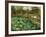 Lotus Pond, Shiba, Tokyo, c.1886-Theodore Wores-Framed Premium Giclee Print