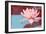 Lotus Pop (Blue)-null-Framed Premium Giclee Print