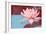 Lotus Pop (Blue)-null-Framed Premium Giclee Print