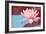 Lotus Pop (Blue)-null-Framed Premium Giclee Print