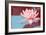 Lotus Pop (Blue)-null-Framed Art Print