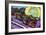 Lotus Race Car-Rock Demarco-Framed Giclee Print