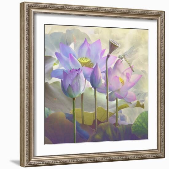 Lotus Sanctuary I-Steve Hunziker-Framed Art Print