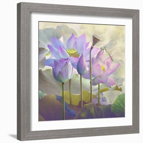 Lotus Sanctuary I-Steve Hunziker-Framed Art Print