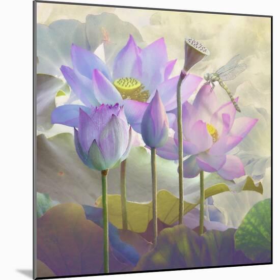 Lotus Sanctuary I-Steve Hunziker-Mounted Art Print