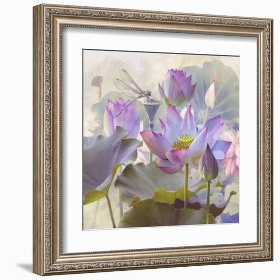 Lotus Sanctuary II-Steve Hunziker-Framed Art Print