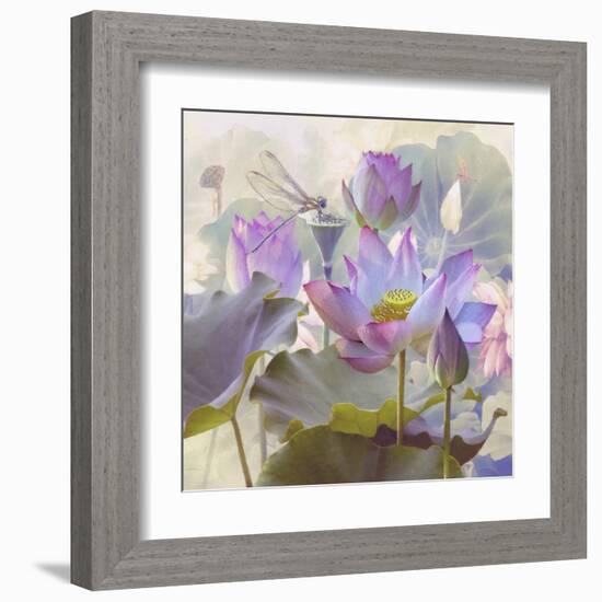 Lotus Sanctuary II-Steve Hunziker-Framed Art Print