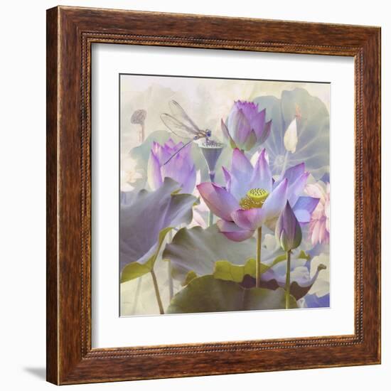 Lotus Sanctuary II-Steve Hunziker-Framed Art Print