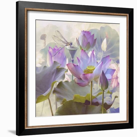 Lotus Sanctuary II-Steve Hunziker-Framed Art Print