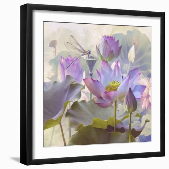 Lotus Sanctuary II-Steve Hunziker-Framed Art Print