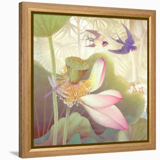 Lotus Sanctuary III-Steve Hunziker-Framed Stretched Canvas