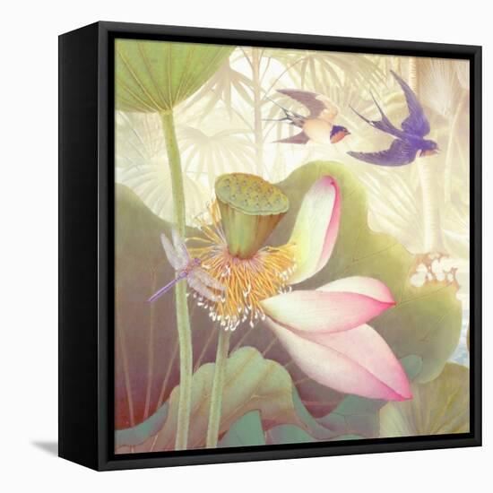 Lotus Sanctuary III-Steve Hunziker-Framed Stretched Canvas