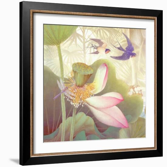 Lotus Sanctuary III-Steve Hunziker-Framed Art Print