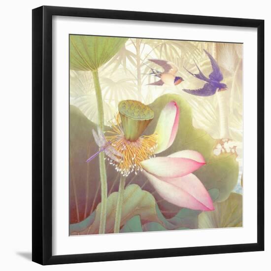 Lotus Sanctuary III-Steve Hunziker-Framed Art Print