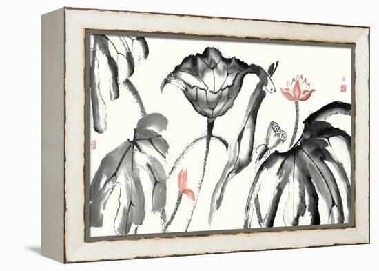 Lotus Study with Coral I-Nan Rae-Framed Stretched Canvas