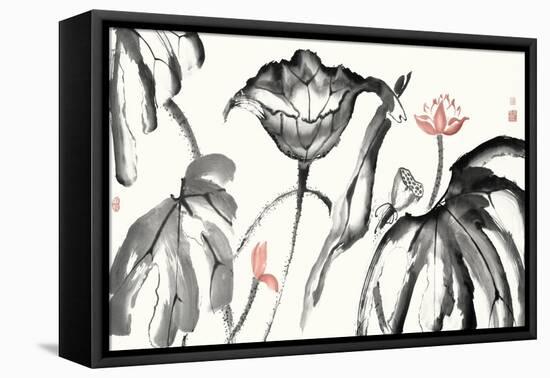 Lotus Study with Coral I-Nan Rae-Framed Stretched Canvas