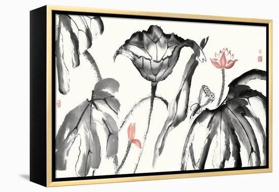 Lotus Study with Coral I-Nan Rae-Framed Stretched Canvas