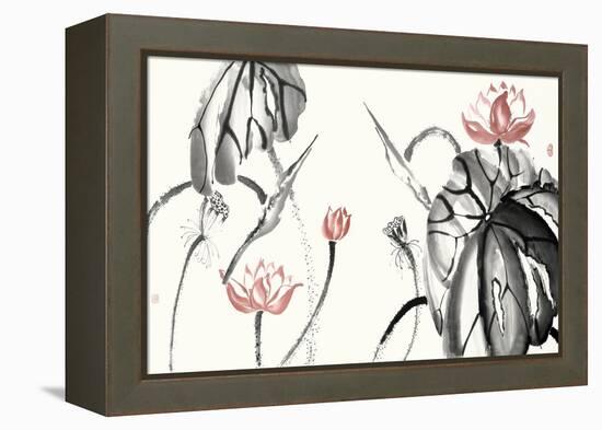 Lotus Study with Coral II-Nan Rae-Framed Stretched Canvas