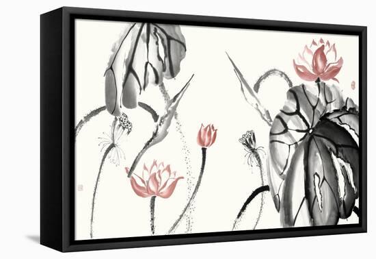Lotus Study with Coral II-Nan Rae-Framed Stretched Canvas