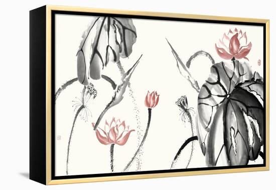 Lotus Study with Coral II-Nan Rae-Framed Stretched Canvas