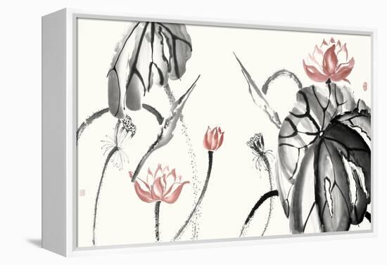 Lotus Study with Coral II-Nan Rae-Framed Stretched Canvas