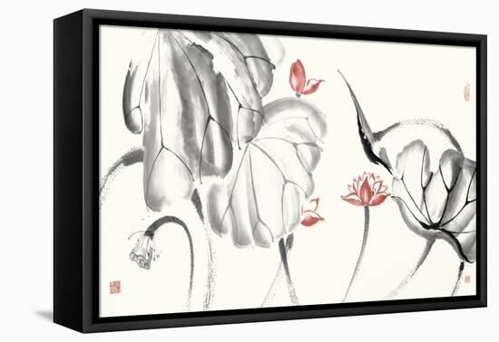 Lotus Study with Coral III-Nan Rae-Framed Stretched Canvas