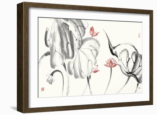Lotus Study with Coral III-Nan Rae-Framed Art Print