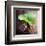 Lotus-Glen and Gayle Wans-Framed Giclee Print