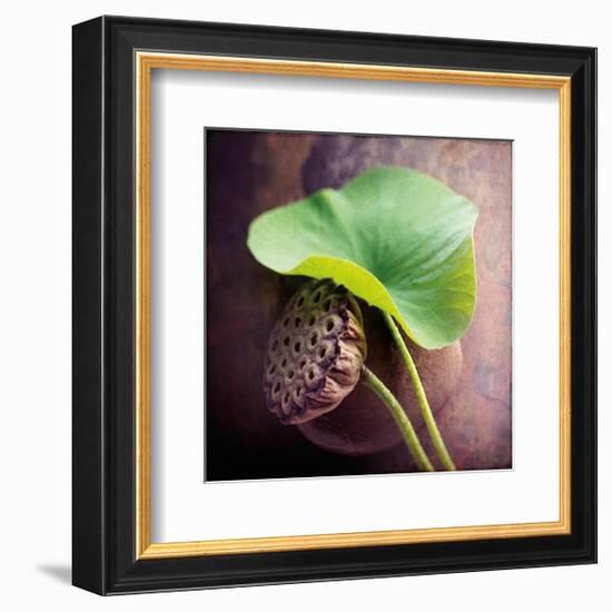 Lotus-Glen and Gayle Wans-Framed Giclee Print