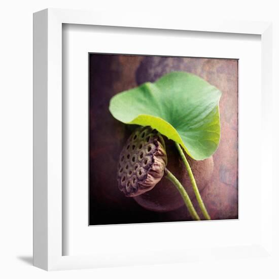 Lotus-Glen and Gayle Wans-Framed Giclee Print