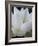 Lotus-Jim Christensen-Framed Photographic Print