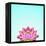 Lotus-Matt Crump-Framed Stretched Canvas