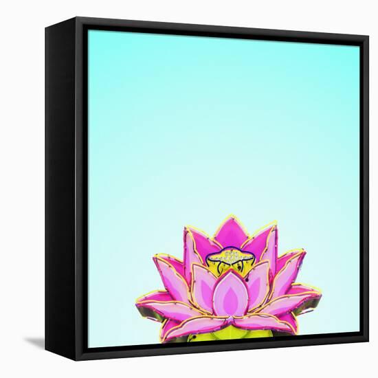 Lotus-Matt Crump-Framed Stretched Canvas