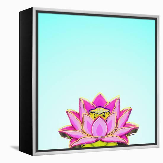Lotus-Matt Crump-Framed Stretched Canvas