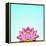 Lotus-Matt Crump-Framed Stretched Canvas