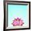 Lotus-Matt Crump-Framed Photographic Print