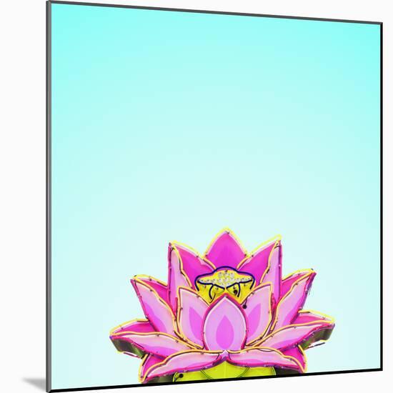 Lotus-Matt Crump-Mounted Photographic Print