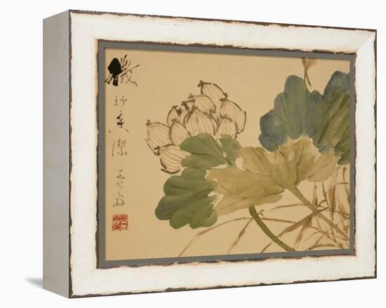 Lotus-Xu Gu-Framed Premier Image Canvas